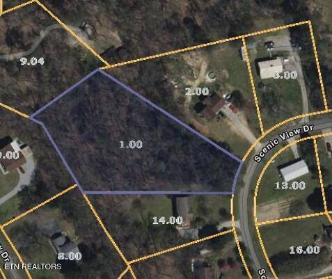 Rutledge, TN 37861,Lot 6 Scenic View DR