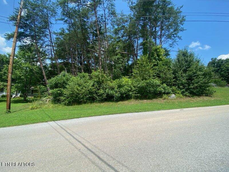 Rutledge, TN 37861,Lot 6 Scenic View DR