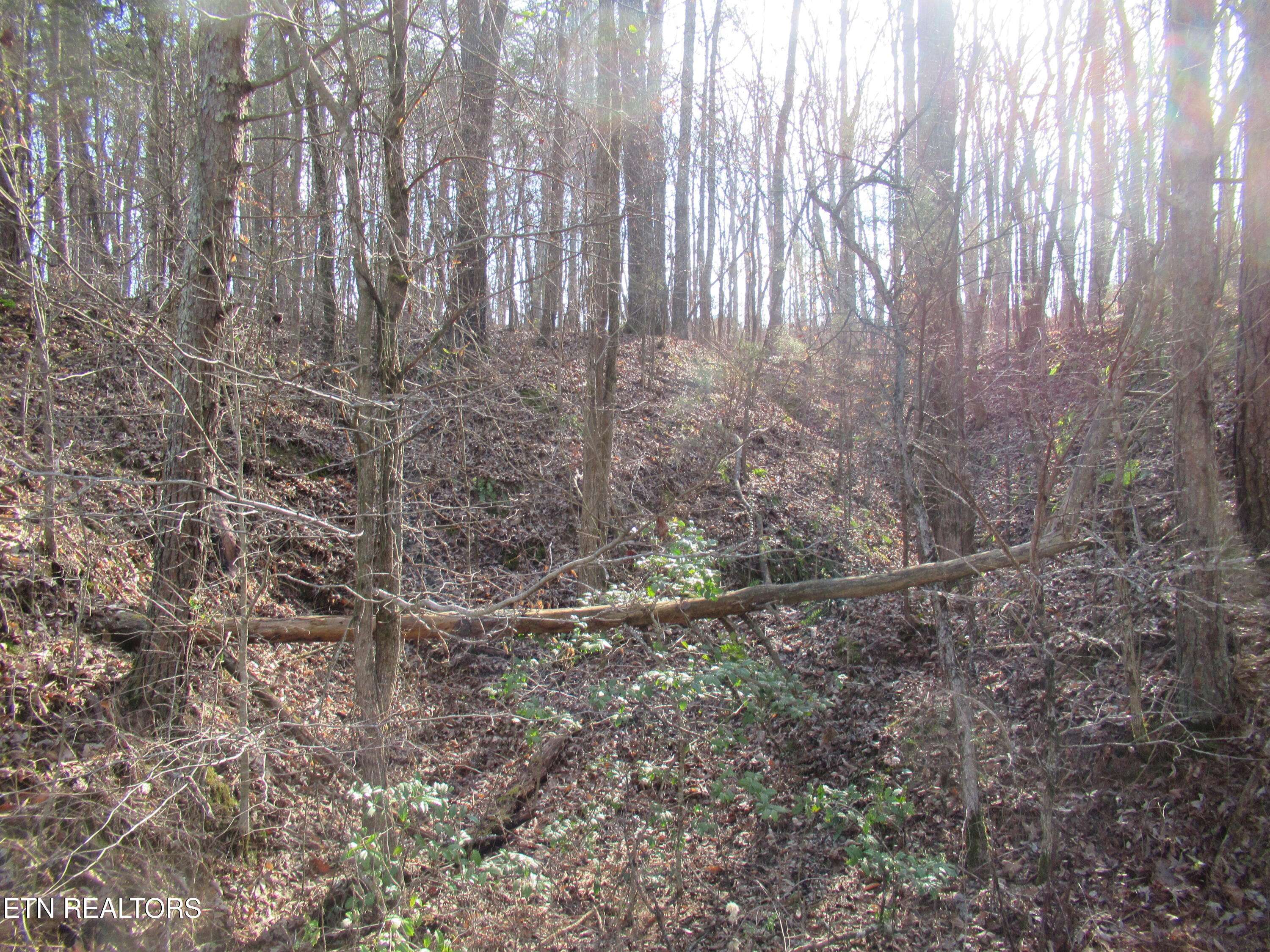 Maryville, TN 37801,Tomotley Rd