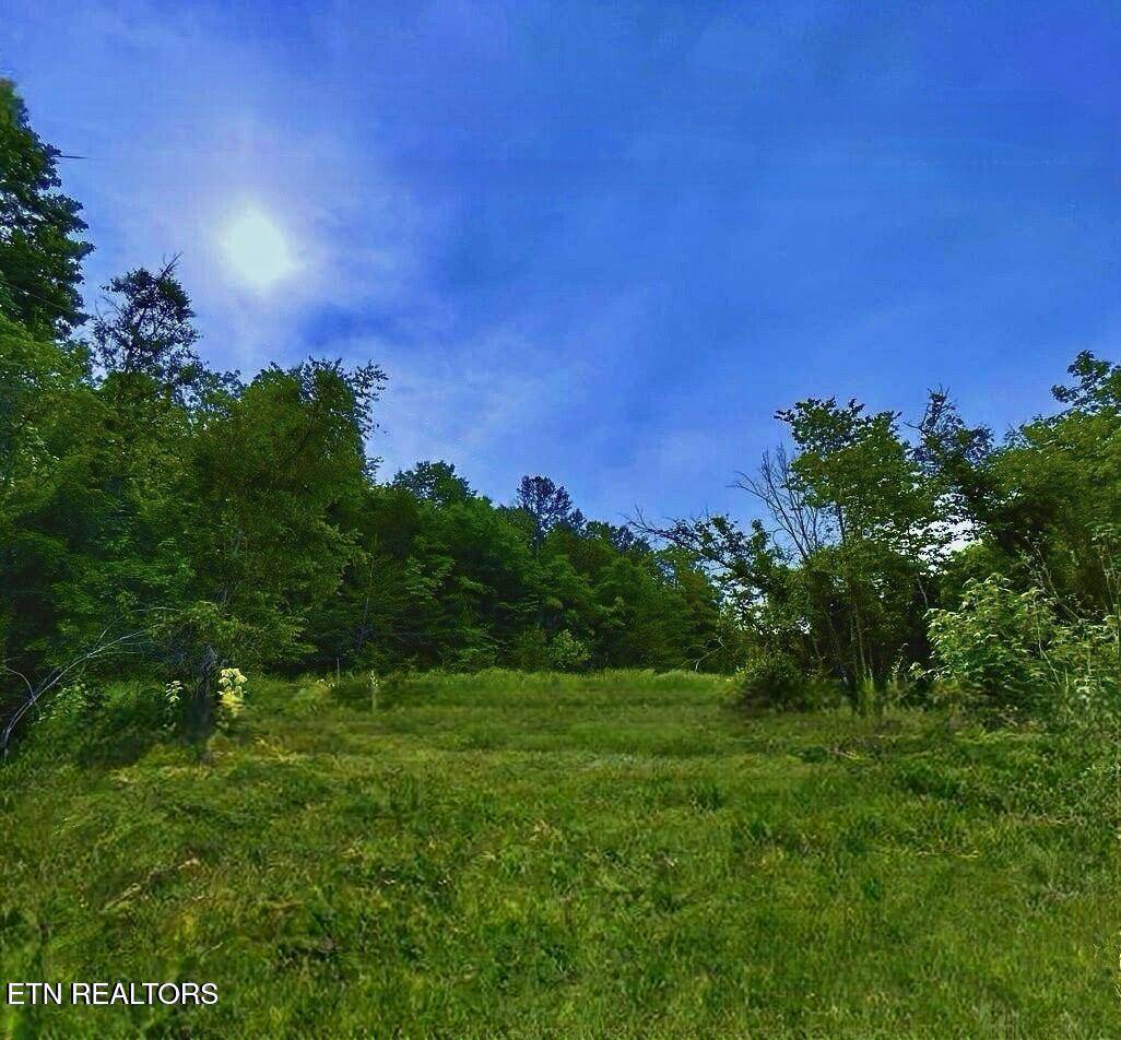 Newport, TN 37821,Lamplighter WAY