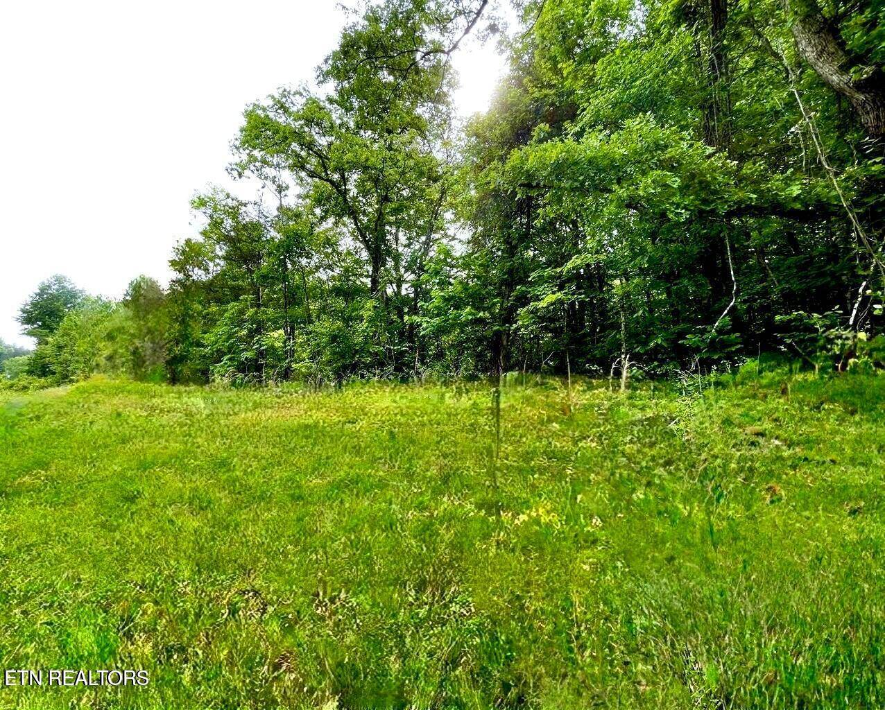 Newport, TN 37821,Lamplighter WAY