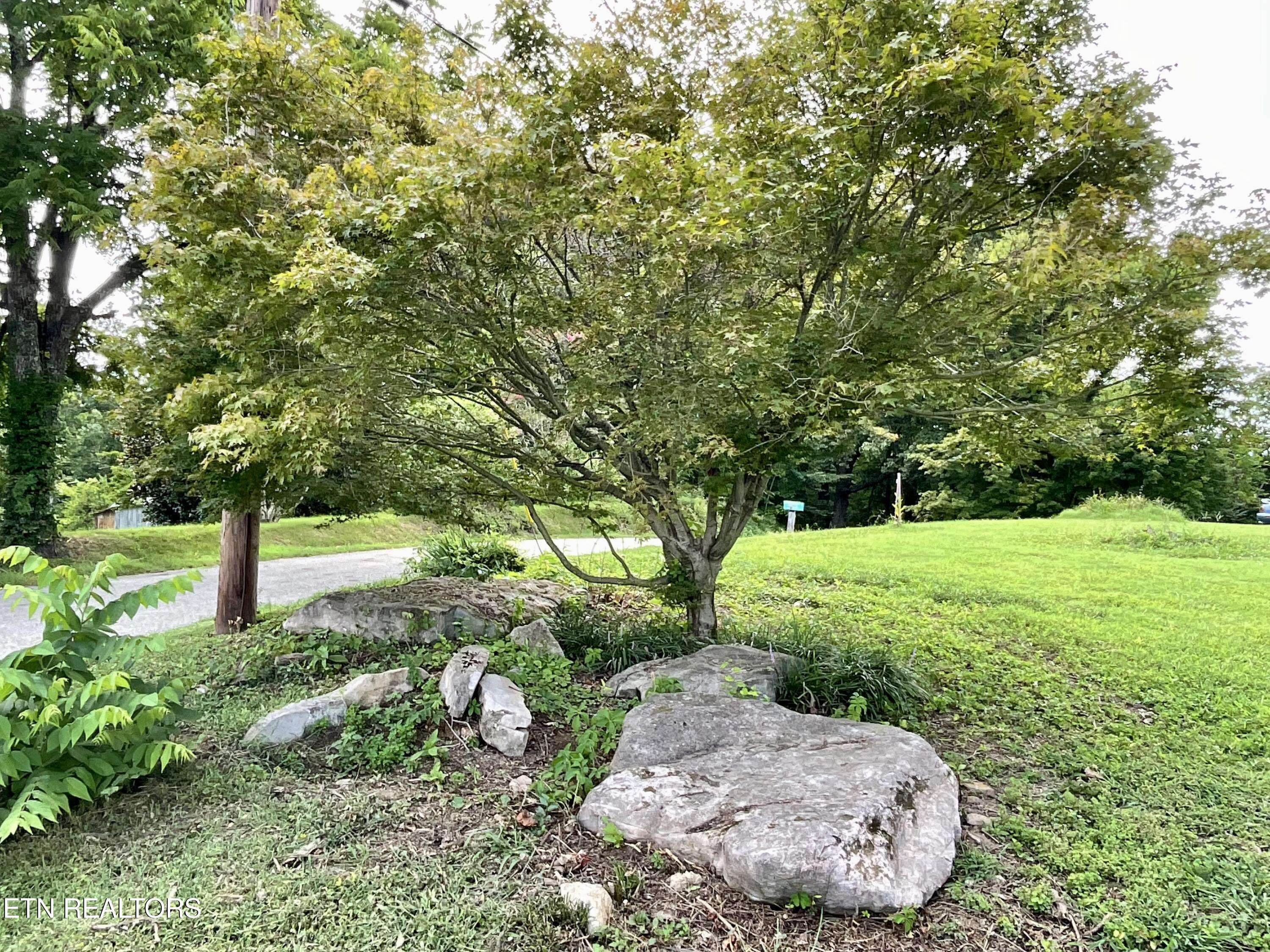 Powell, TN 37849,8220 Lucas LN