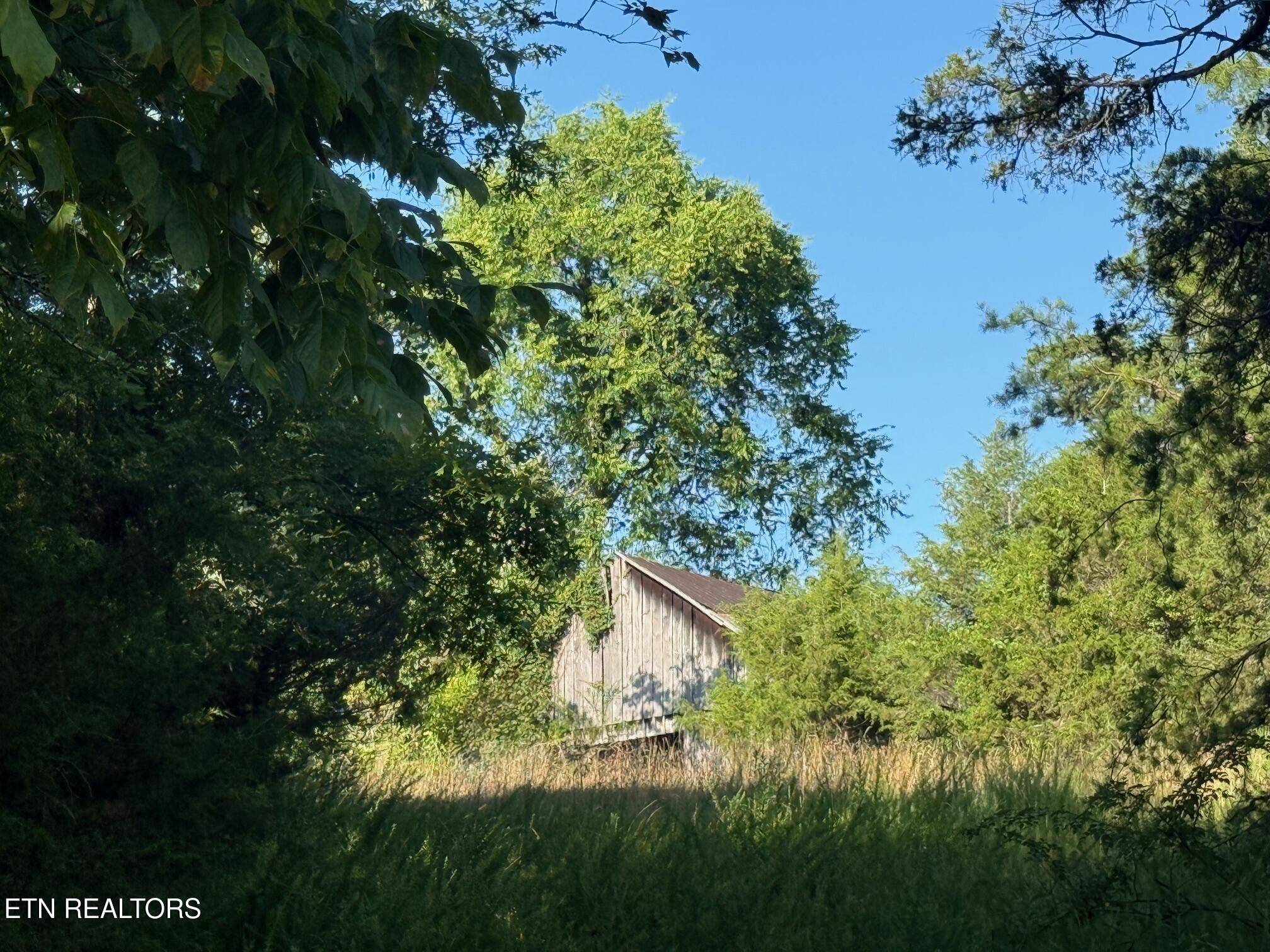 Kodak, TN 37764,Alex Bales (39.31 acres) Rd