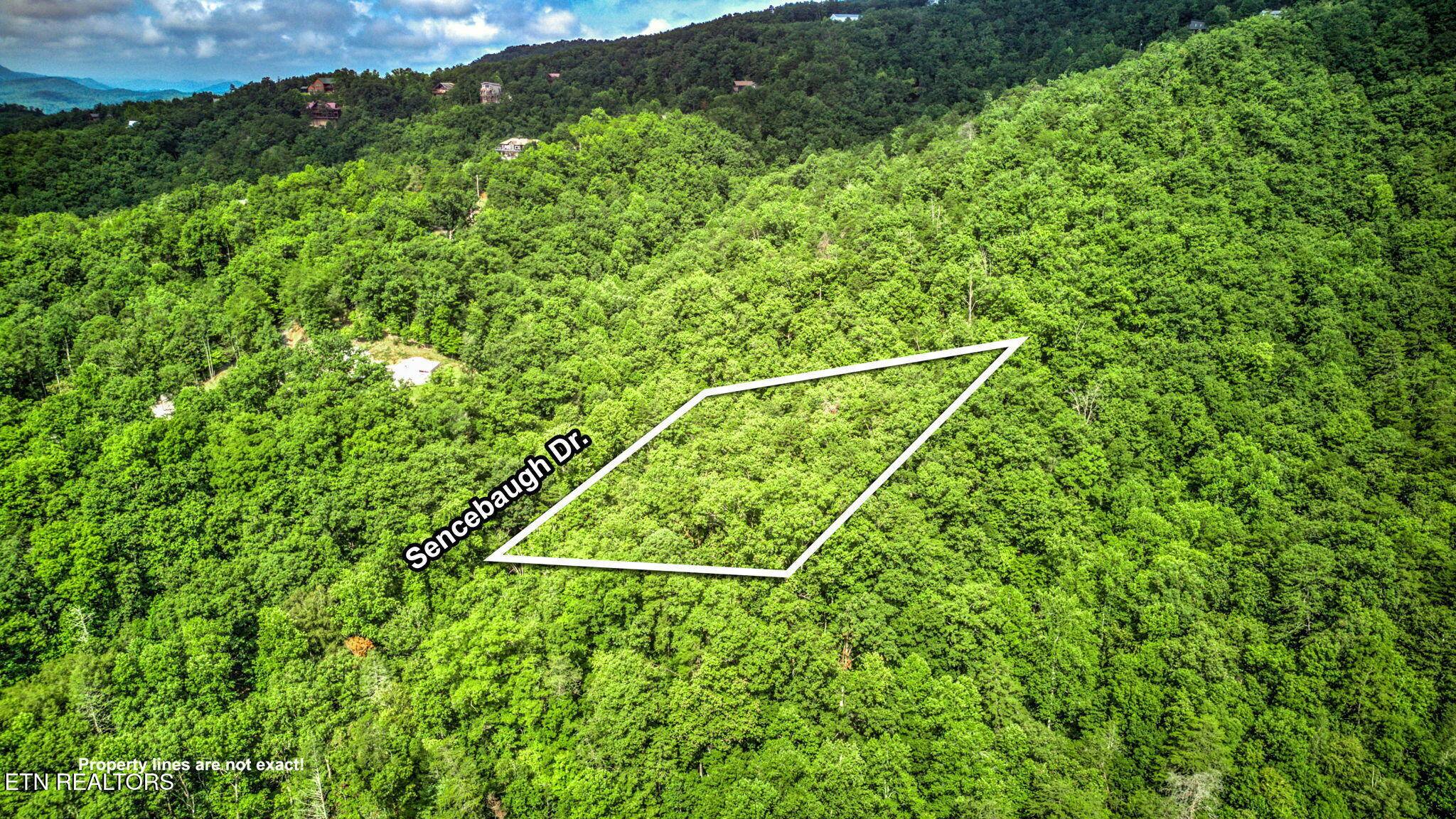 Sevierville, TN 37876,Sencebaugh DR