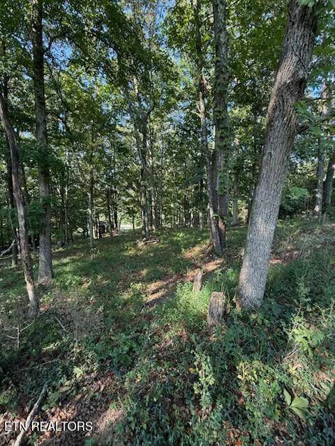 Loudon, TN 37774,17703 Vonore Rd Rd