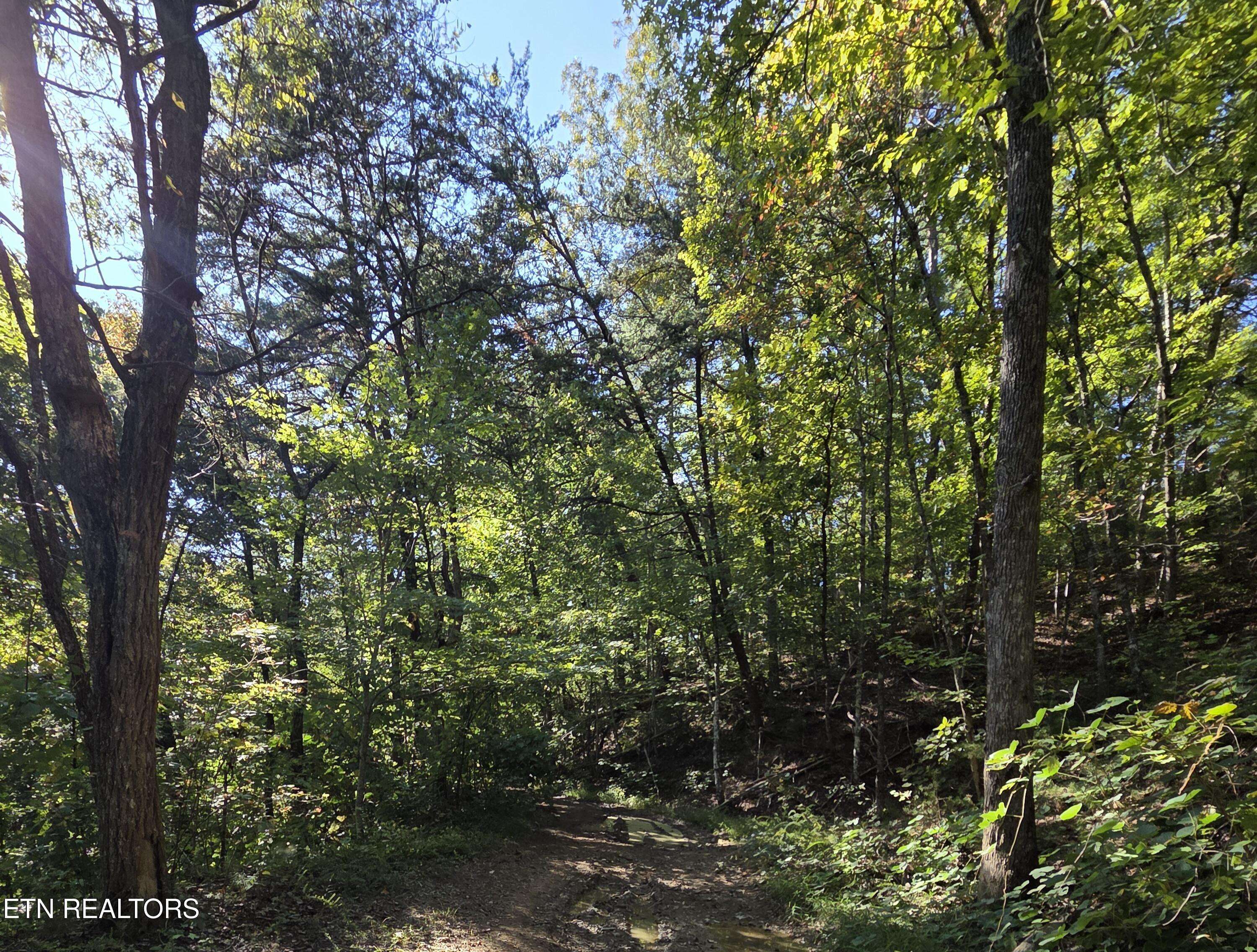 Sevierville, TN 37876,Lot 98 Short Redbud LN