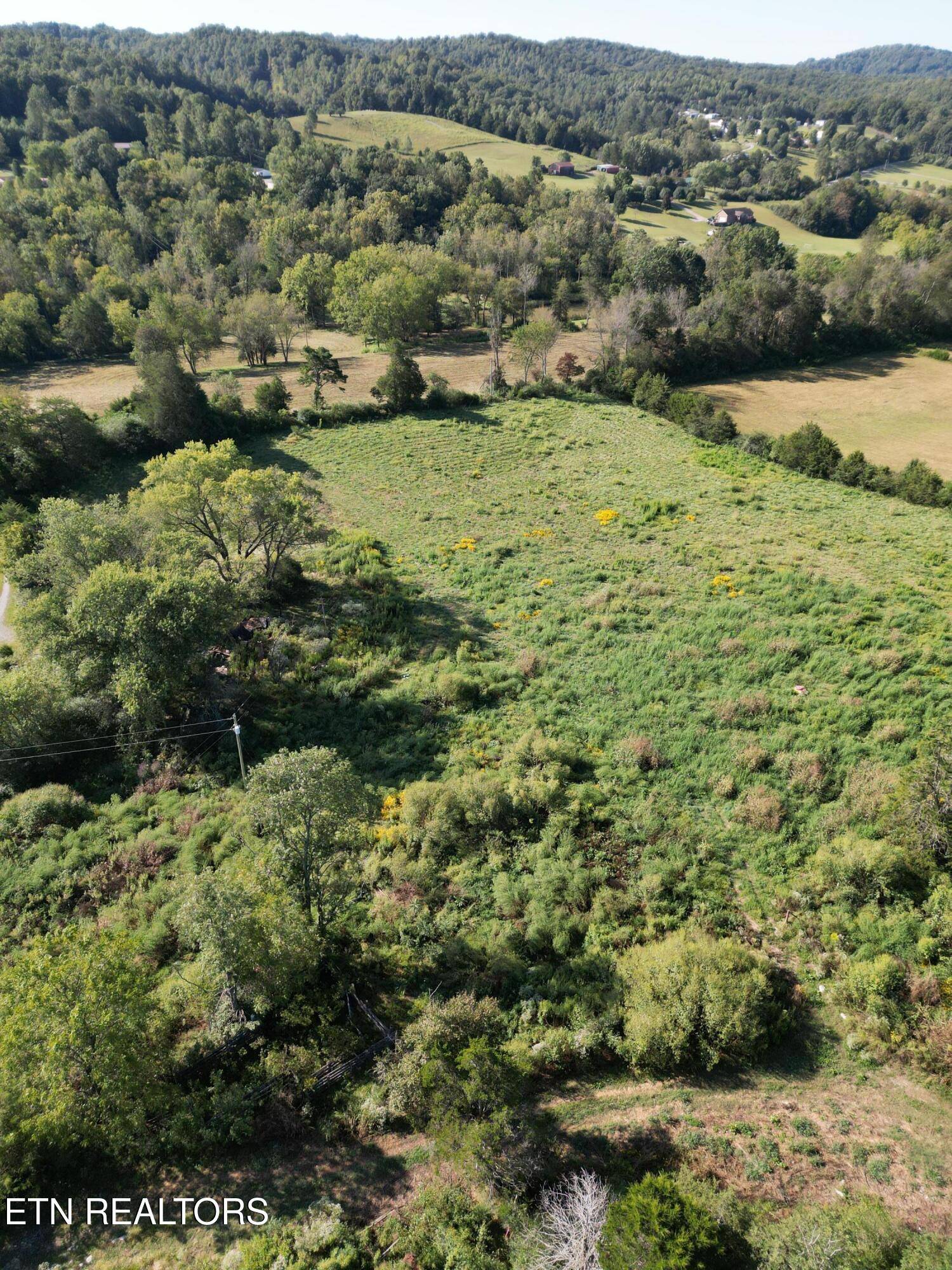 Speedwell, TN 37870,317 Singleton Hollow Rd #lot 1