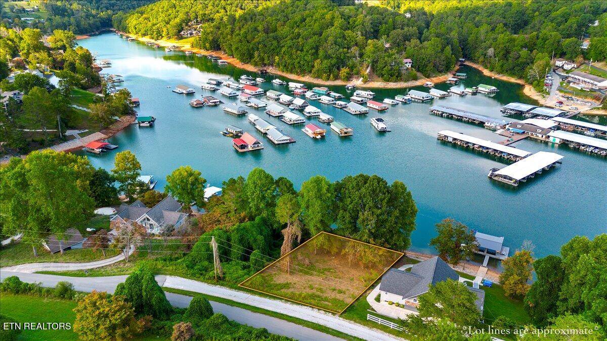 Lafollette, TN 37766,0 Lakesprings DR