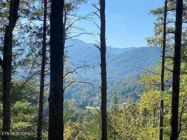 Townsend, TN 37882,849 Hawk View Rd