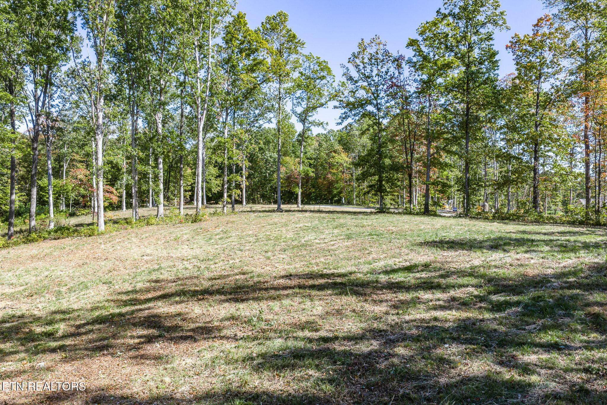 Monterey, TN 38574,628 Cumberland Cove Rd