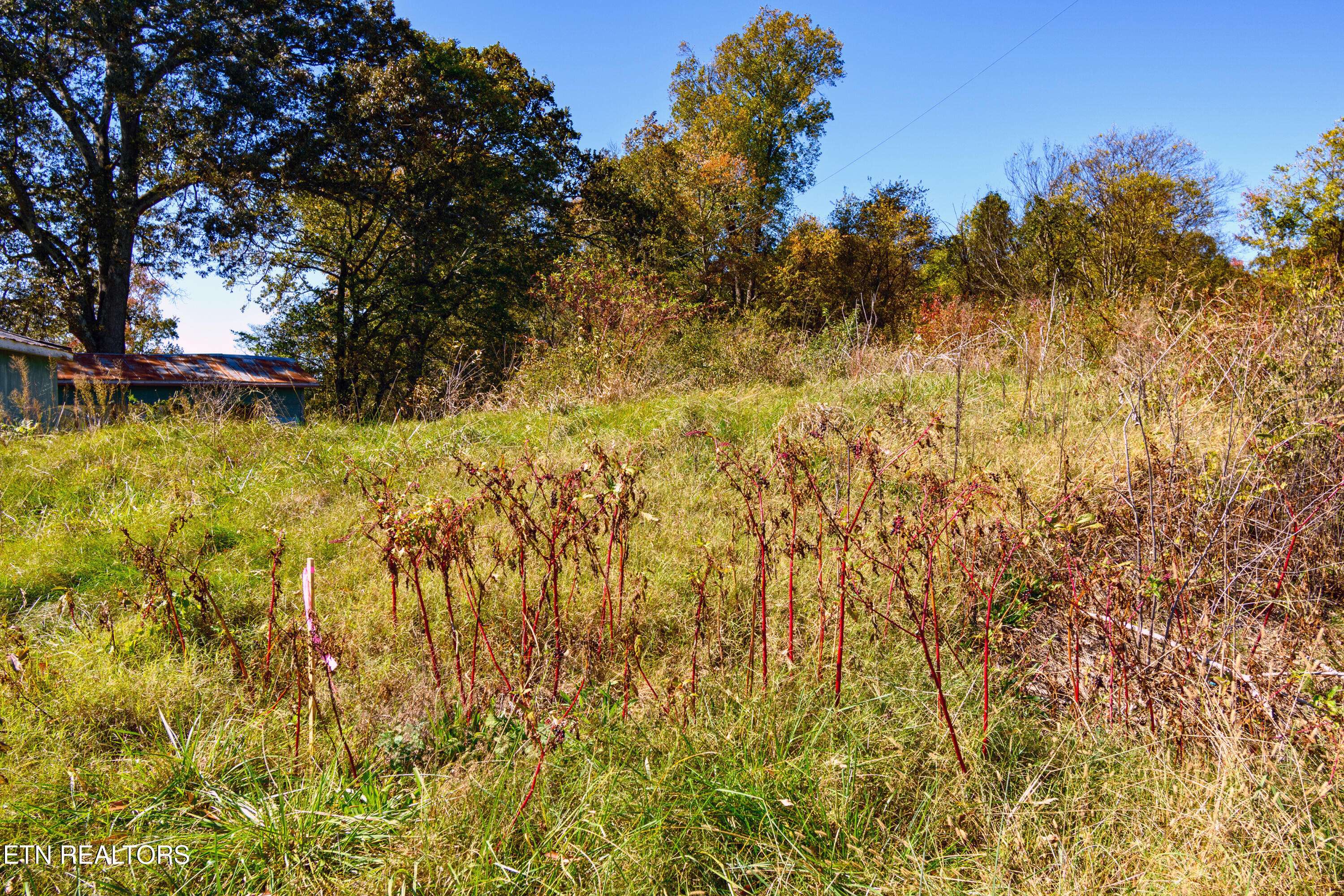 Strawberry Plains, TN 37871,Lot 2 Beard Rd