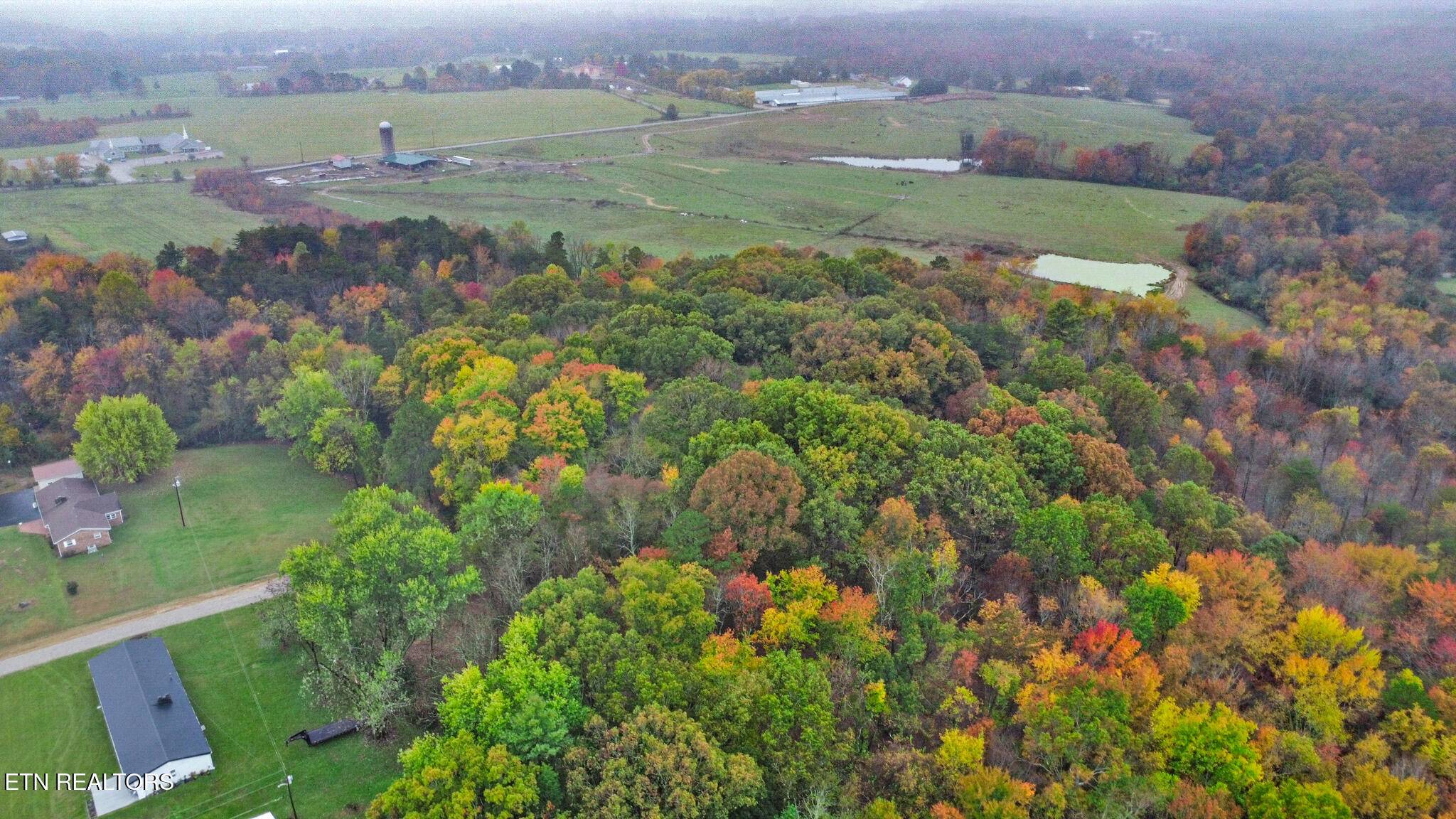 Jamestown, TN 38556,Allardt Hwy