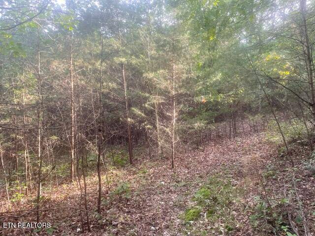 Dunlap, TN 37327,3 Countryside DR