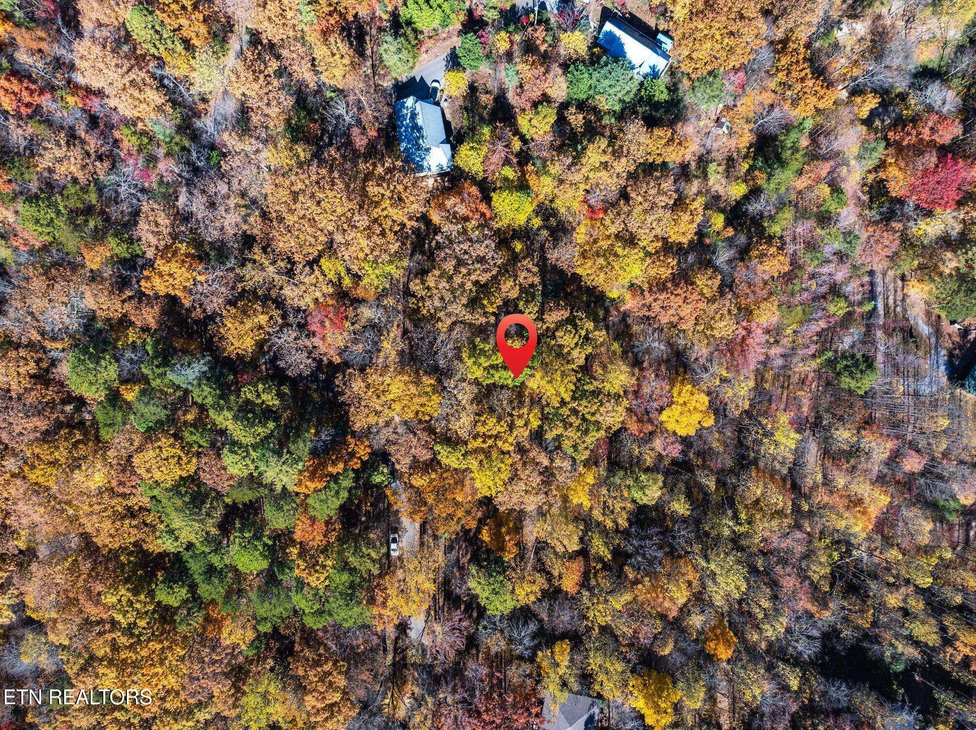 Sevierville, TN 37876,Grassy Branch Loop