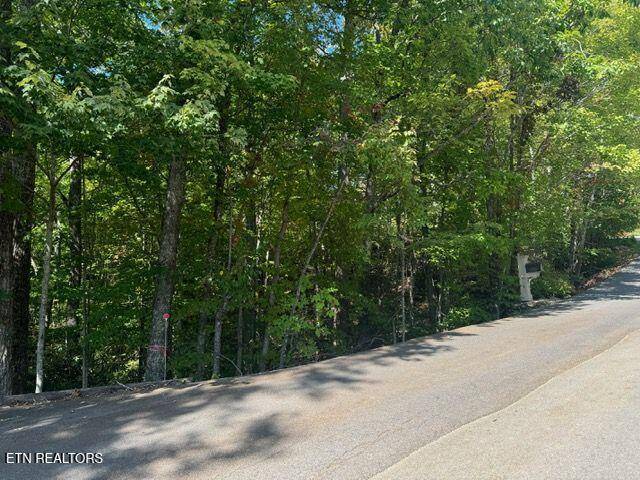 Gatlinburg, TN 37738,Lot 17 Deer Path LN
