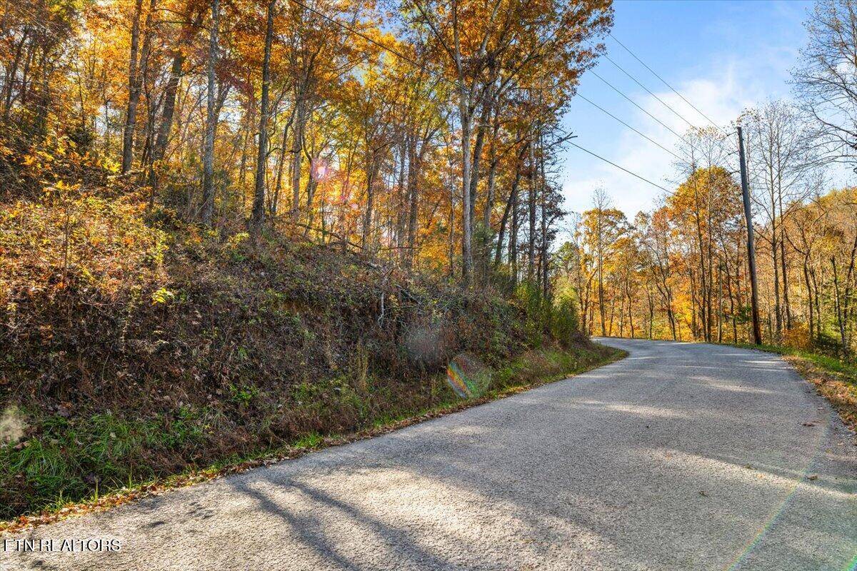 Lafollette, TN 37766,Tract 1 Dogwood Tr