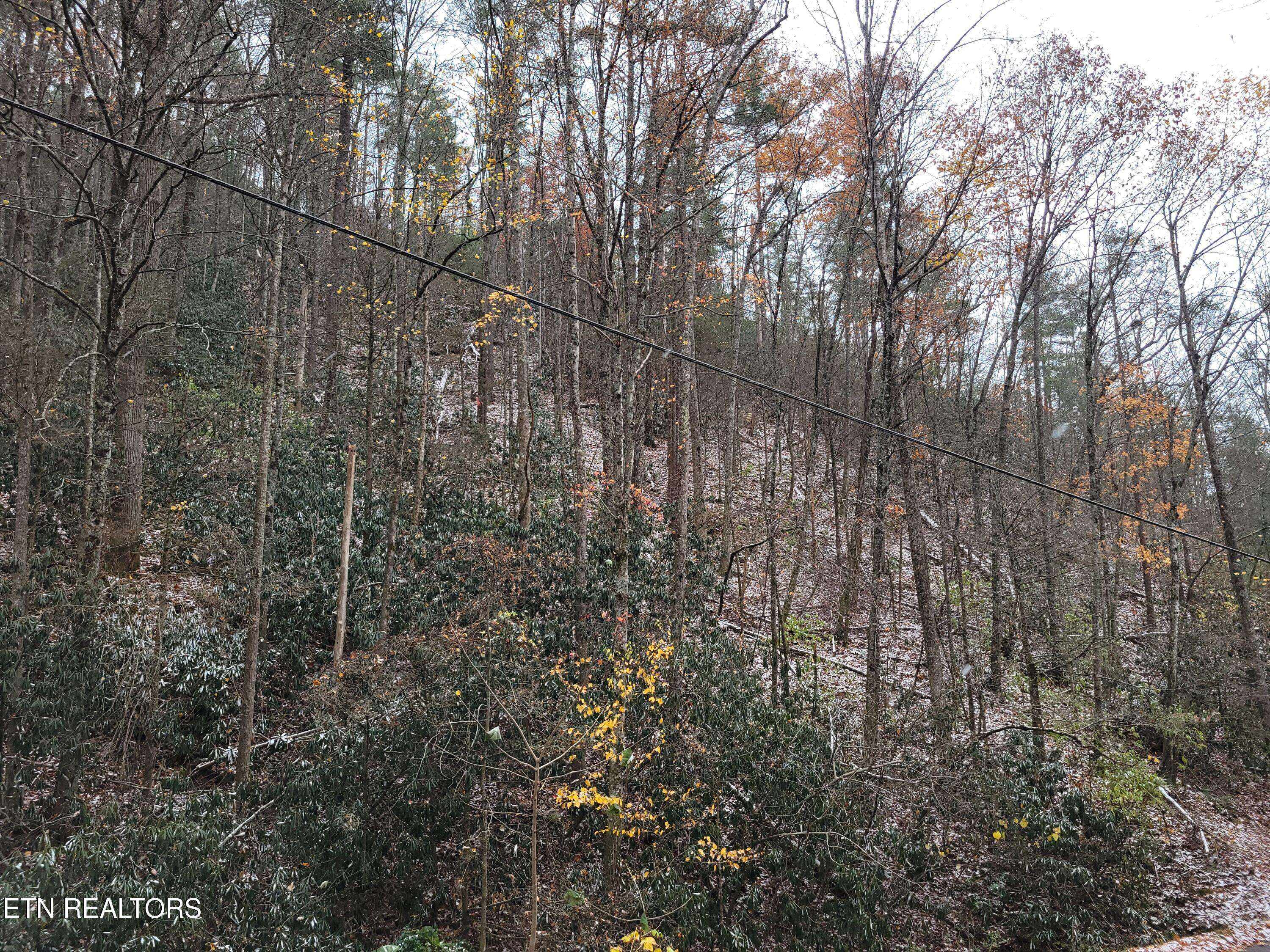 Sevierville, TN 37876,Lot 35/36 Alpine DR