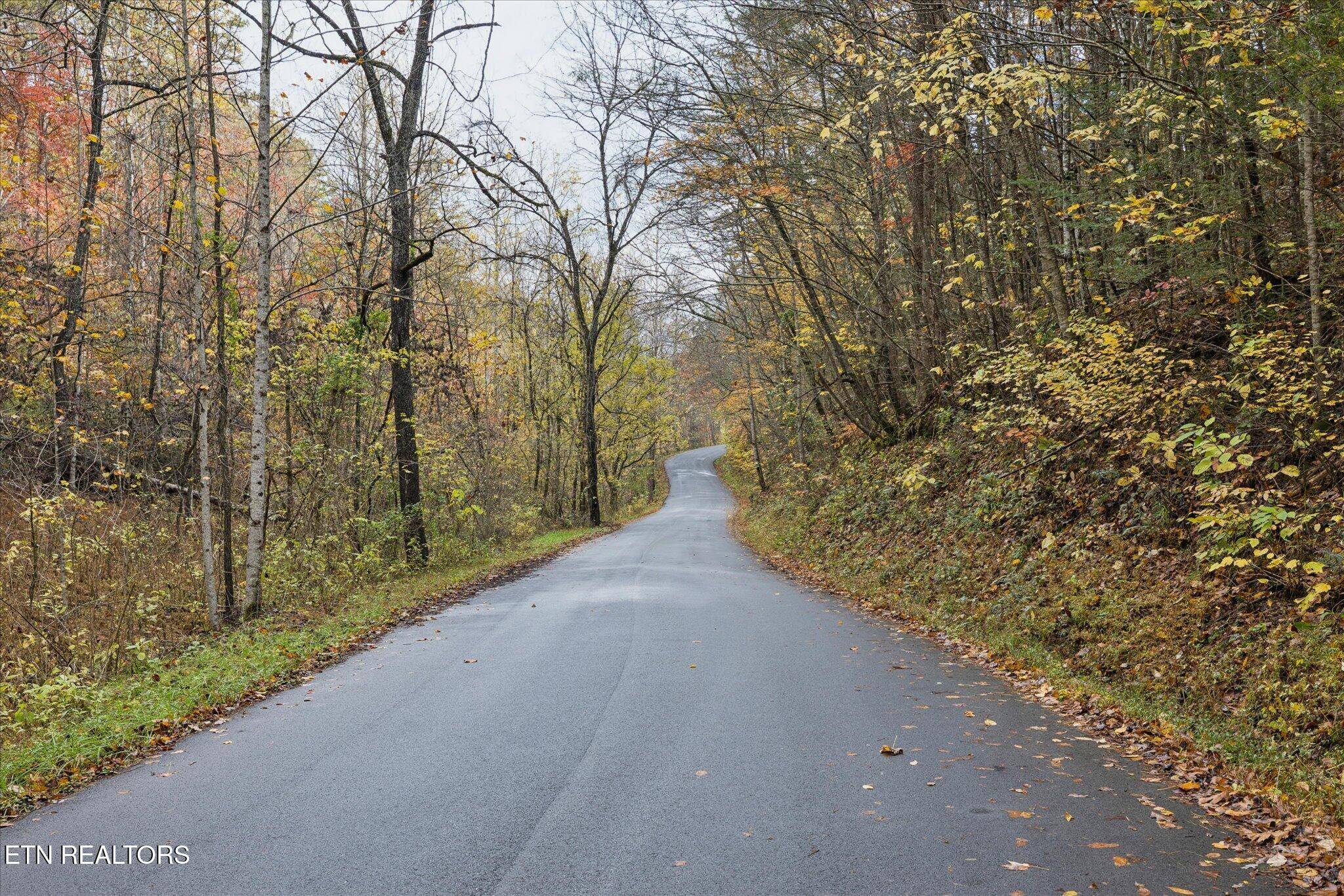 Sevierville, TN 37876,TBD Evans Chapel Rd