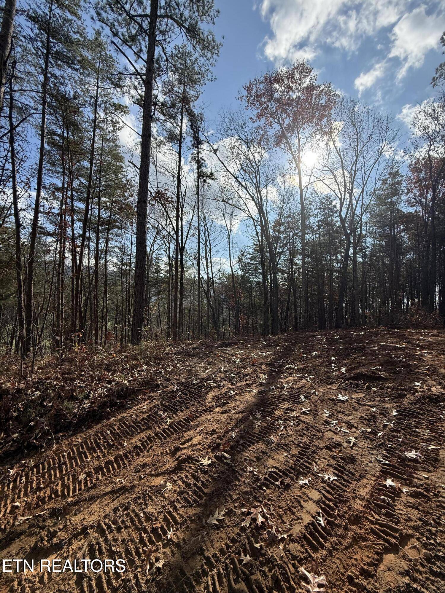 Benton, TN 37307,Lot 4 Parksville Road