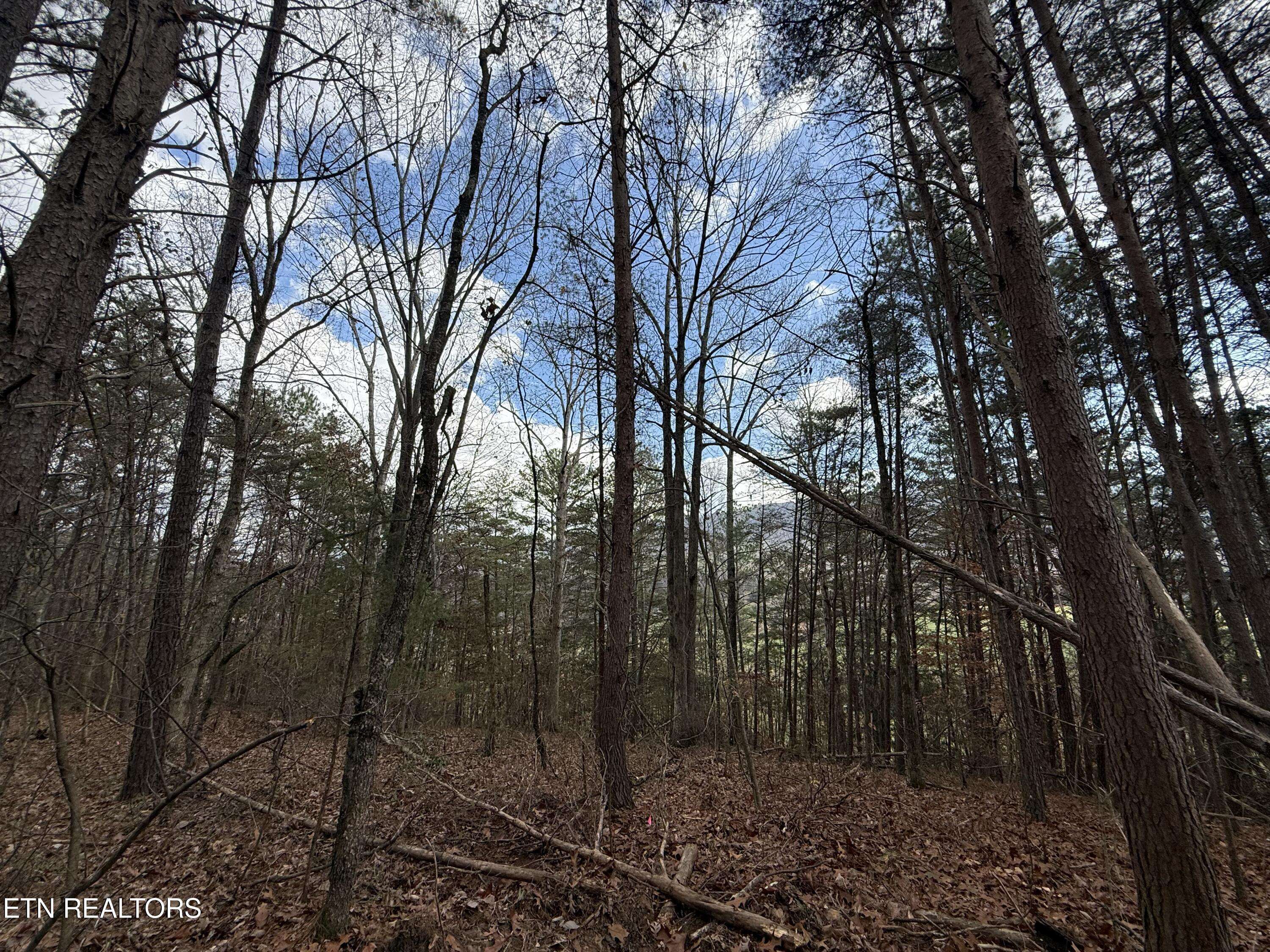 Benton, TN 37307,Lot 3 Parksville Road