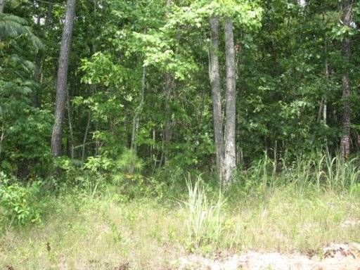 Decatur, TN 37322,Lot 24 No Pone Valley Rd