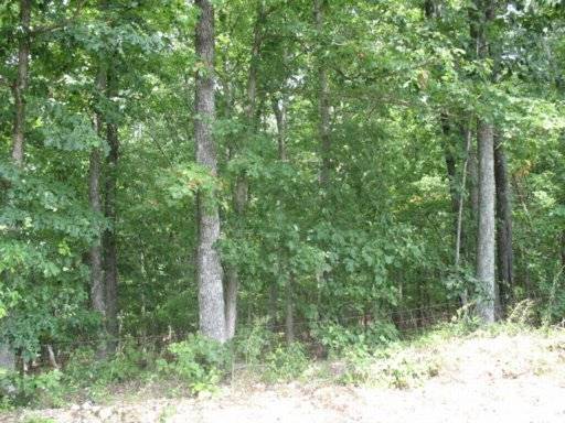 Decatur, TN 37322,Lot 24 No Pone Valley Rd