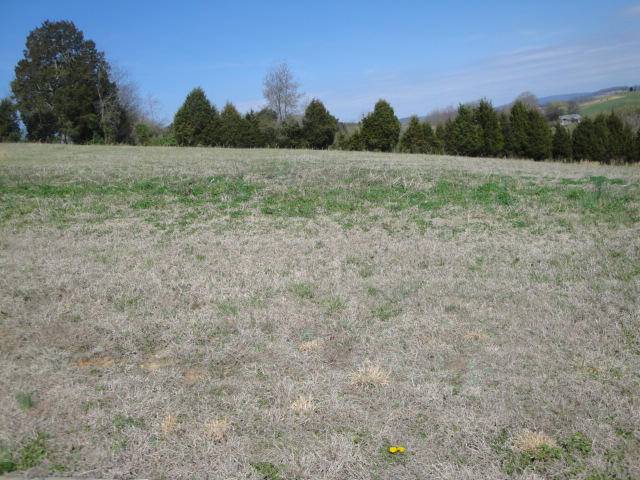 Rutledge, TN 37861,Lot 13 Pocahontas LN