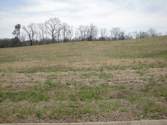 Rutledge, TN 37861,Lot 44 Chippewa LN