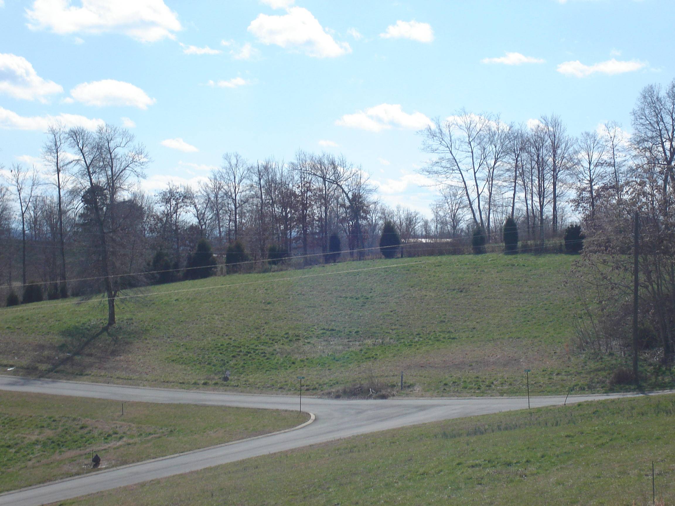 Rutledge, TN 37861,Lot 55 Washita LN