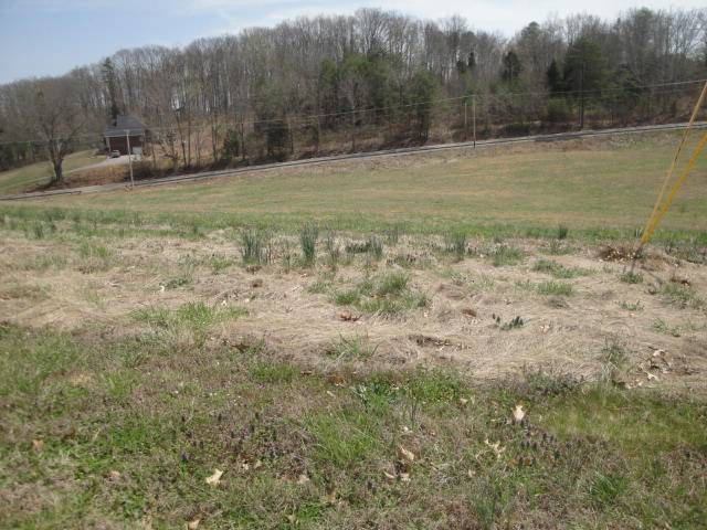 Rutledge, TN 37861,Lot 56 Washita LN