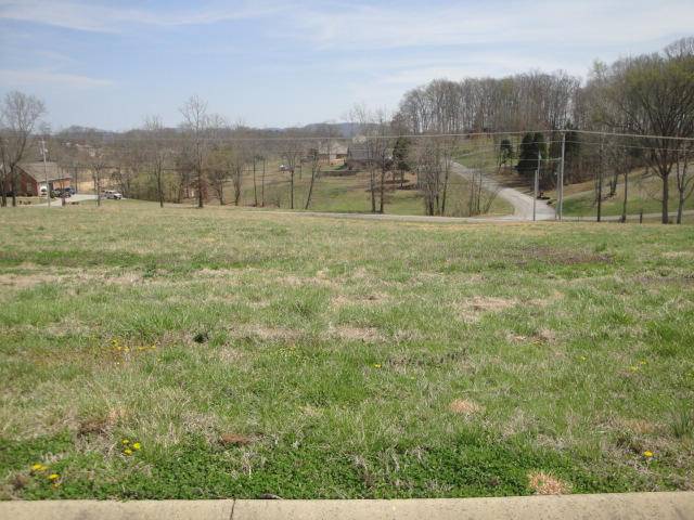 Rutledge, TN 37861,Lot 61 Washita LN