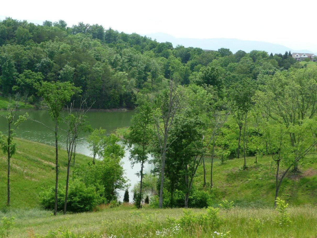 Dandridge, TN 37725,Lot 26 Mountain Lake Drive