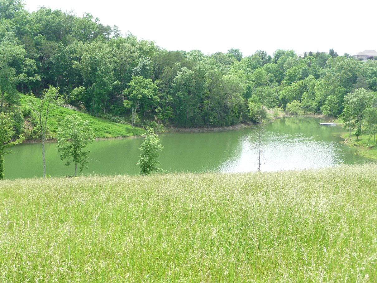 Dandridge, TN 37725,Lot 26 Mountain Lake Drive