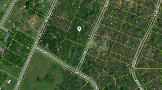 Kingston, TN 37763,Collier Dr. Lot 21