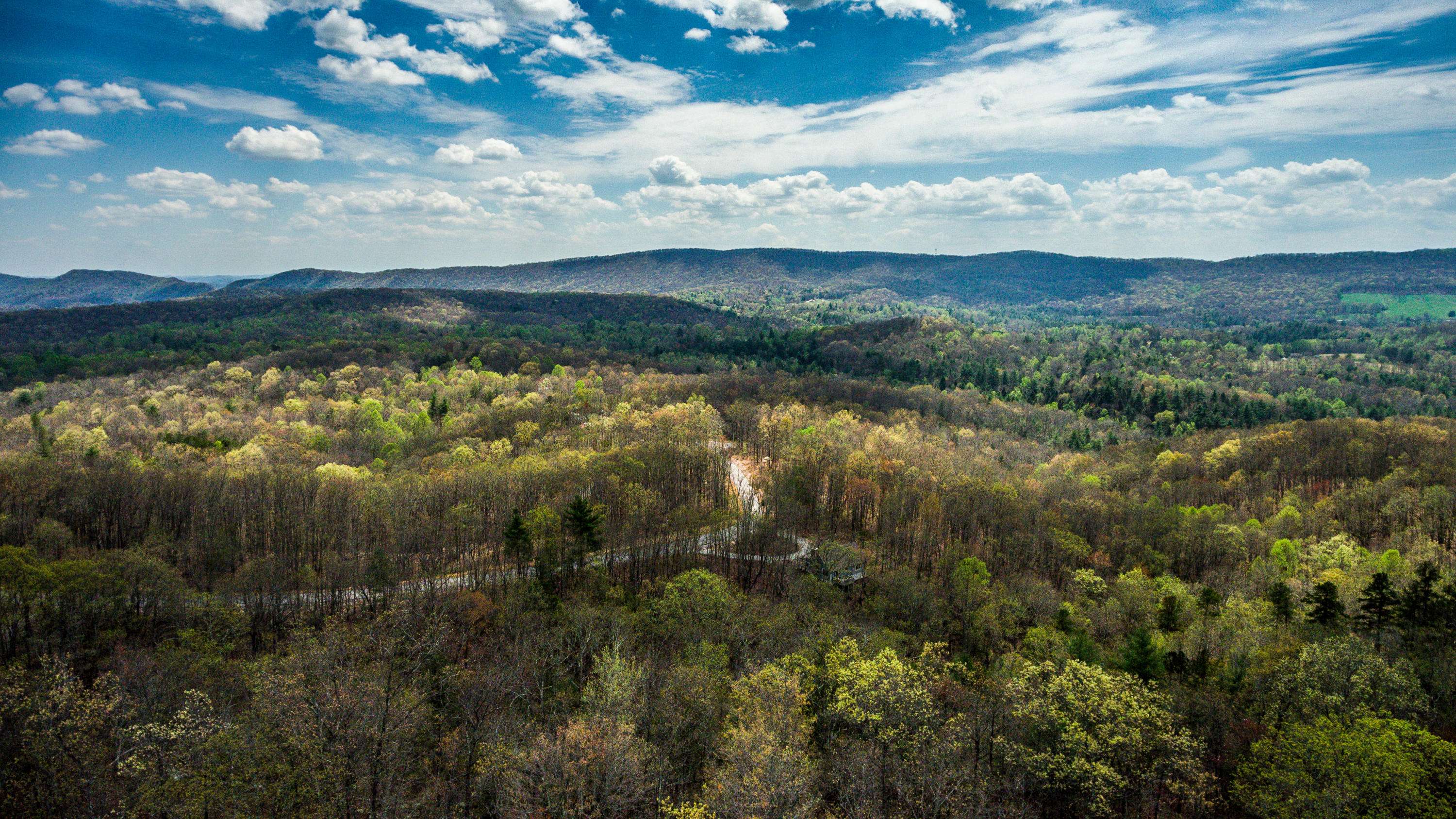 Harriman, TN 37748,Green Ridge Trail - Lot #40