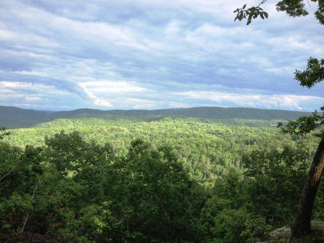 Harriman, TN 37748,Green Ridge Trail - Lot #44