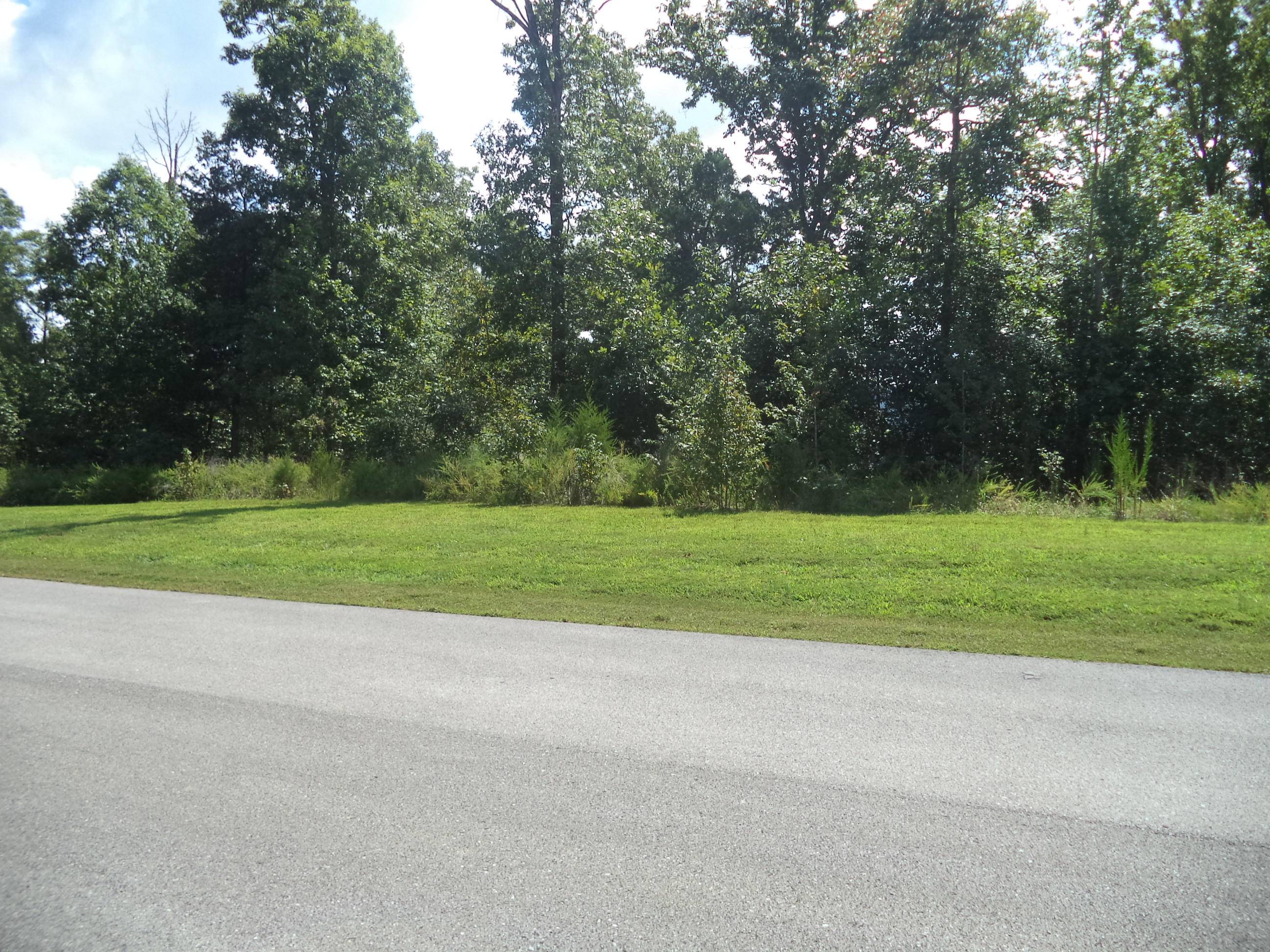 Rockwood, TN 37854,Lot 115 Shore DR