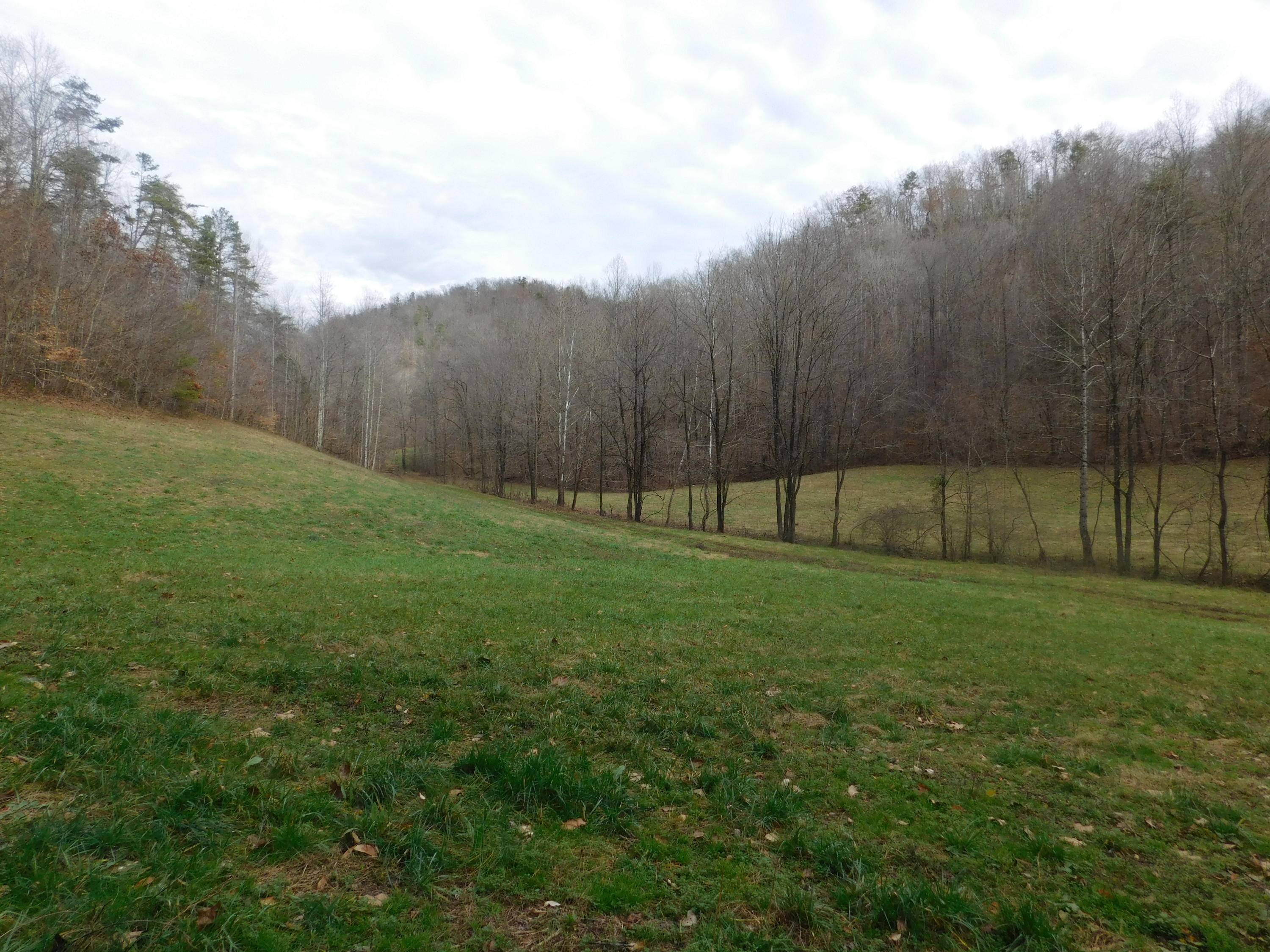 Speedwell, TN 37870,To show th Jones Ridge Rd