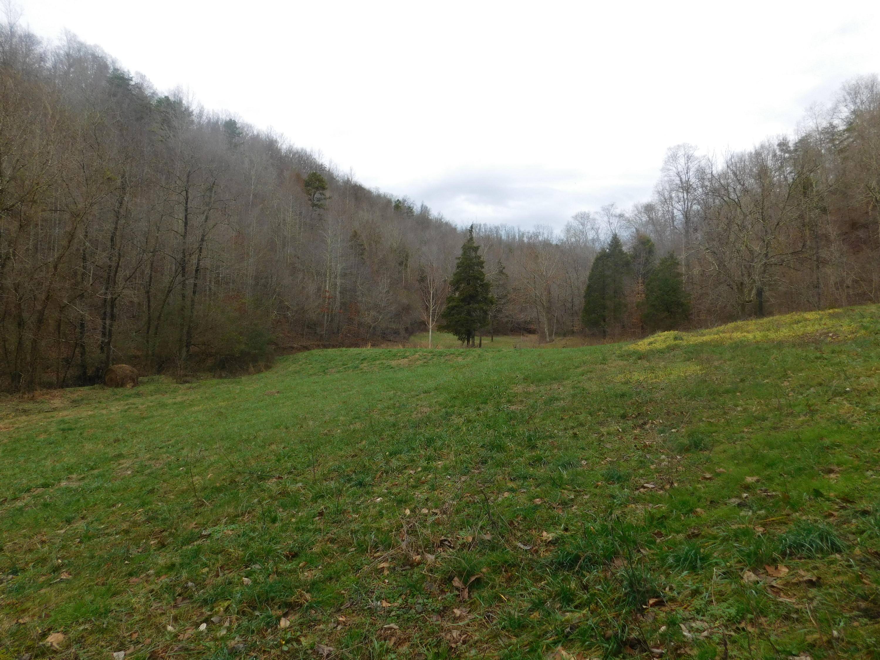 Speedwell, TN 37870,To show th Jones Ridge Rd