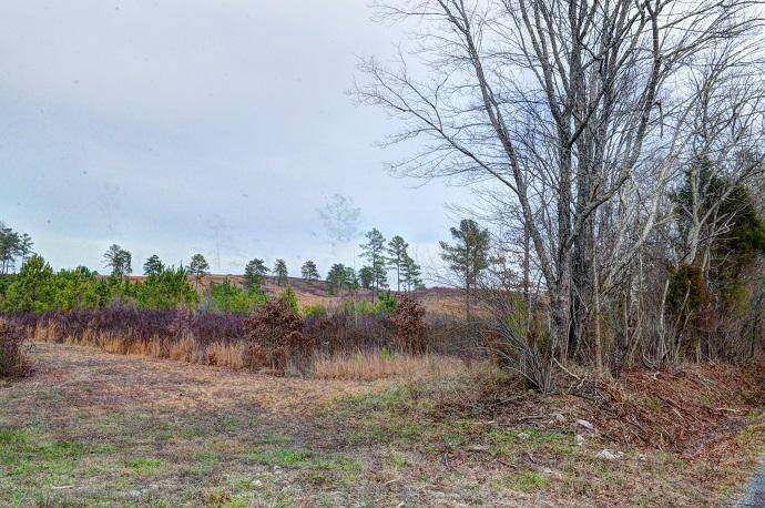 Dayton, TN 37321,Lot 14 Sneed Rd