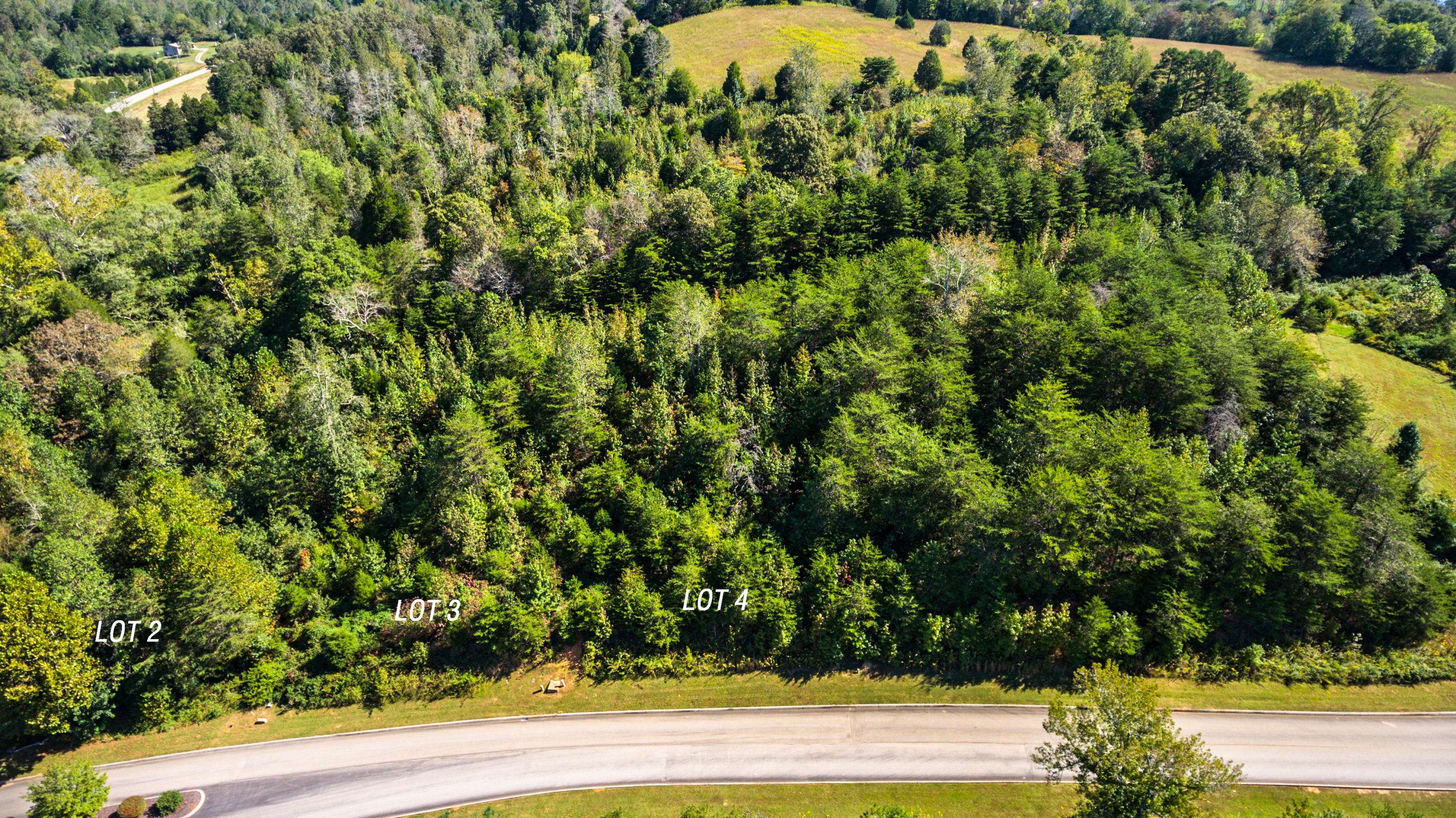 Harriman, TN 37748,Lot 2 Serenity DR