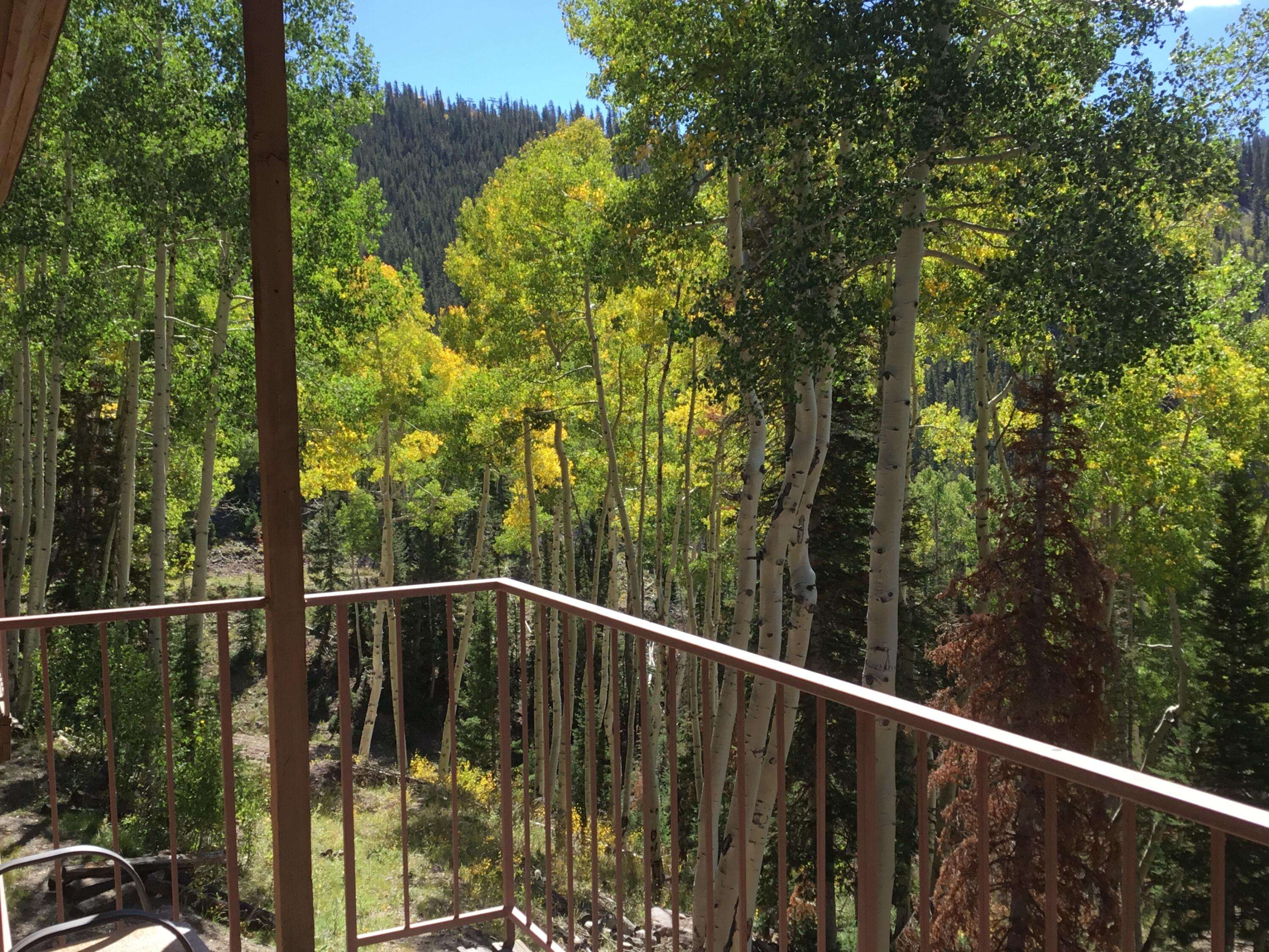 Beaver, UT 84713,#14 B Wooded Ridge Condos