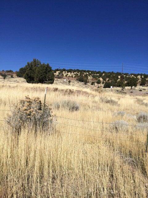 Beaver, UT 84713,Lot 8 Canyon Breeze Estates