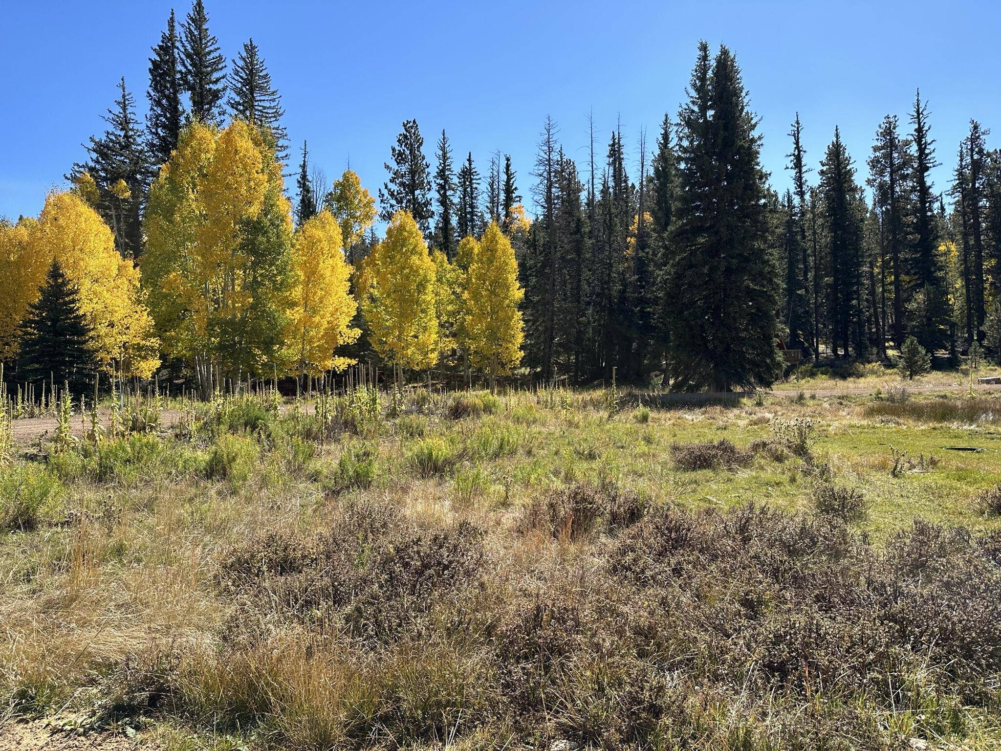 Duck Creek Village, UT 84762,45 & 65 Apollo