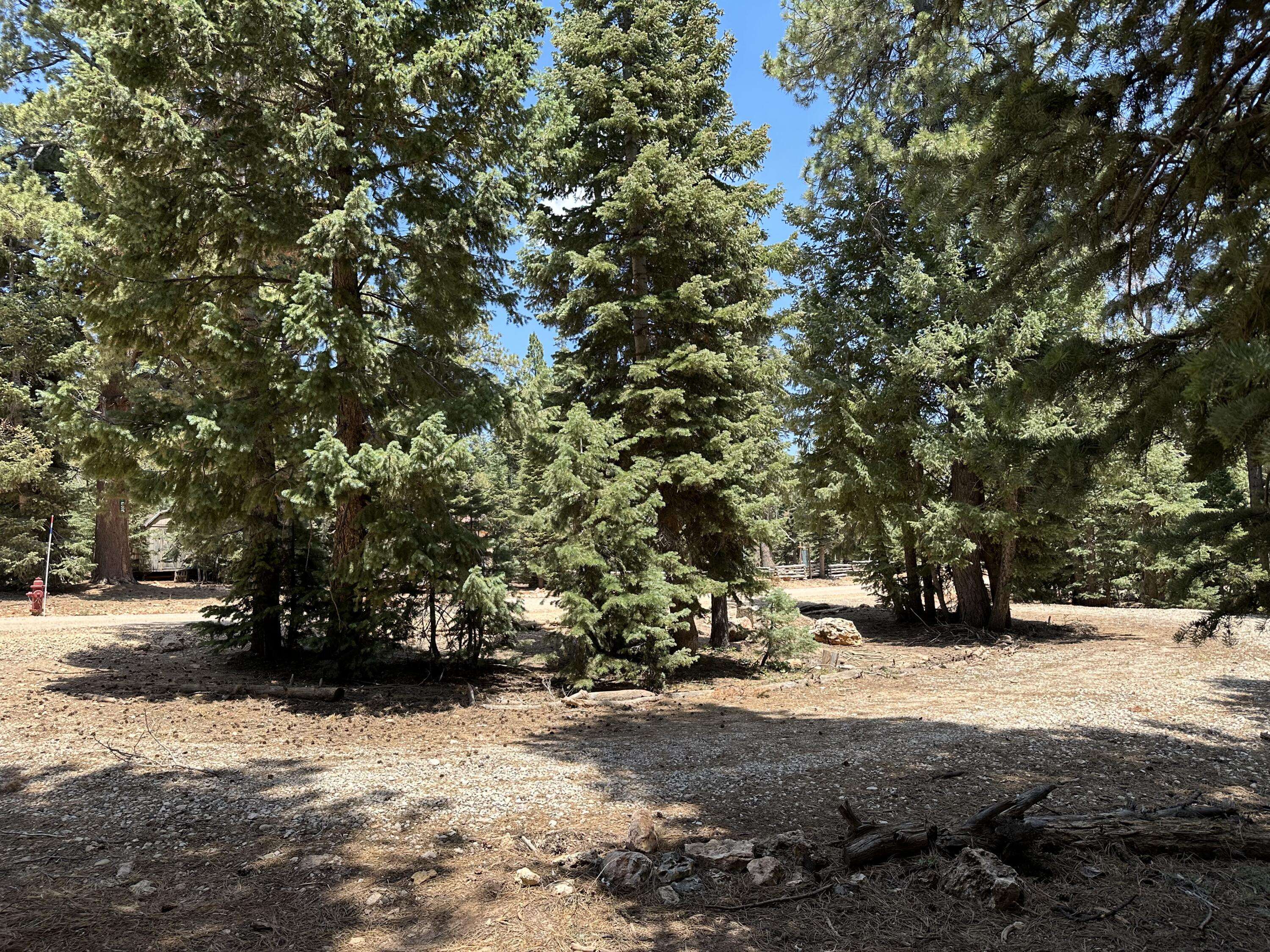 Duck Creek Village, UT 84762,530 E Forest DR