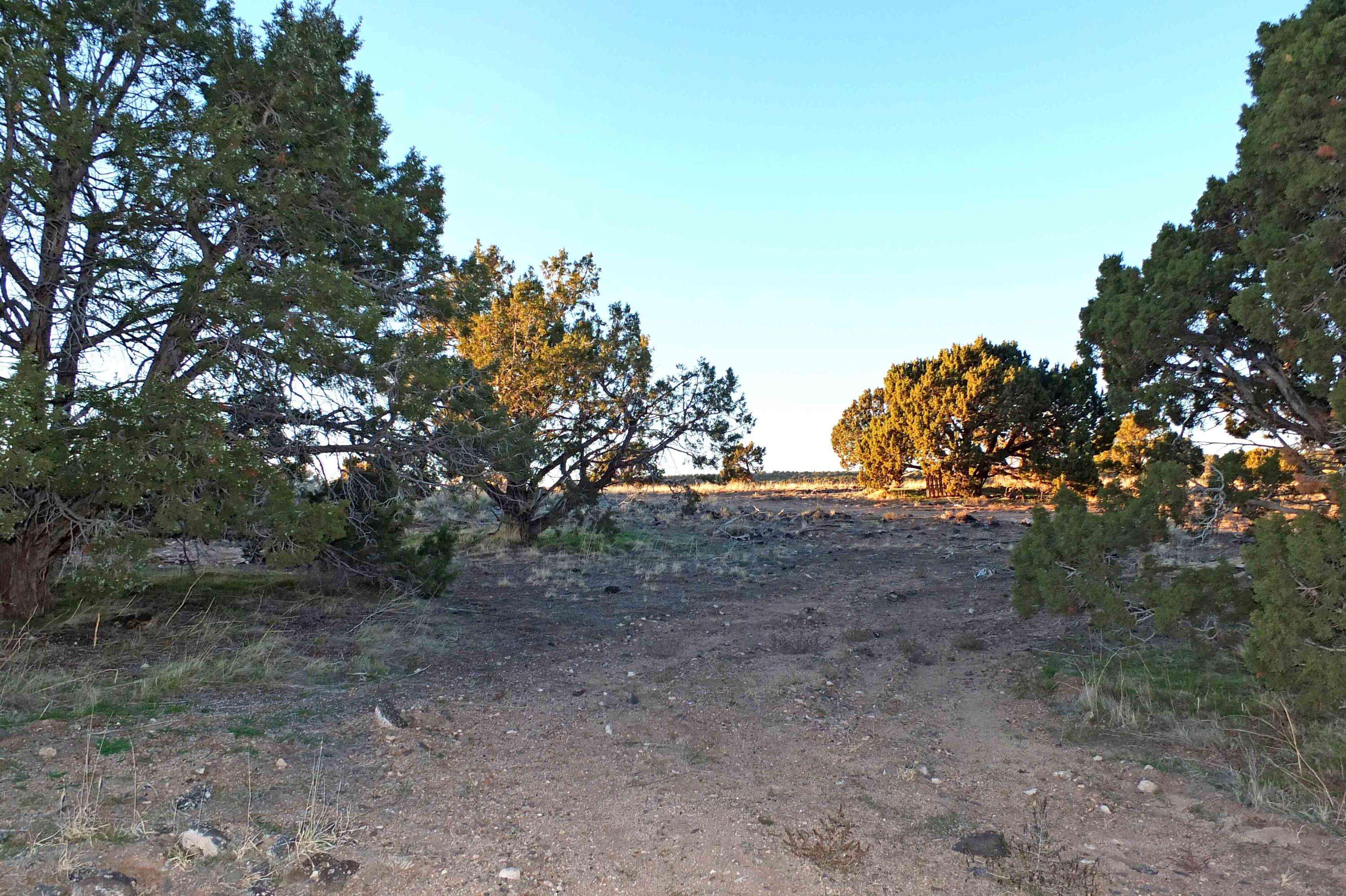 Cedar City, UT 84720,2234 S 2925 W #4