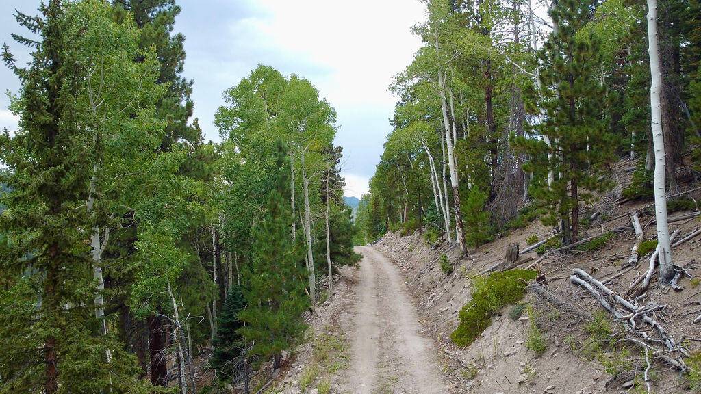 Beaver, UT 84713,Lot 135 West Village