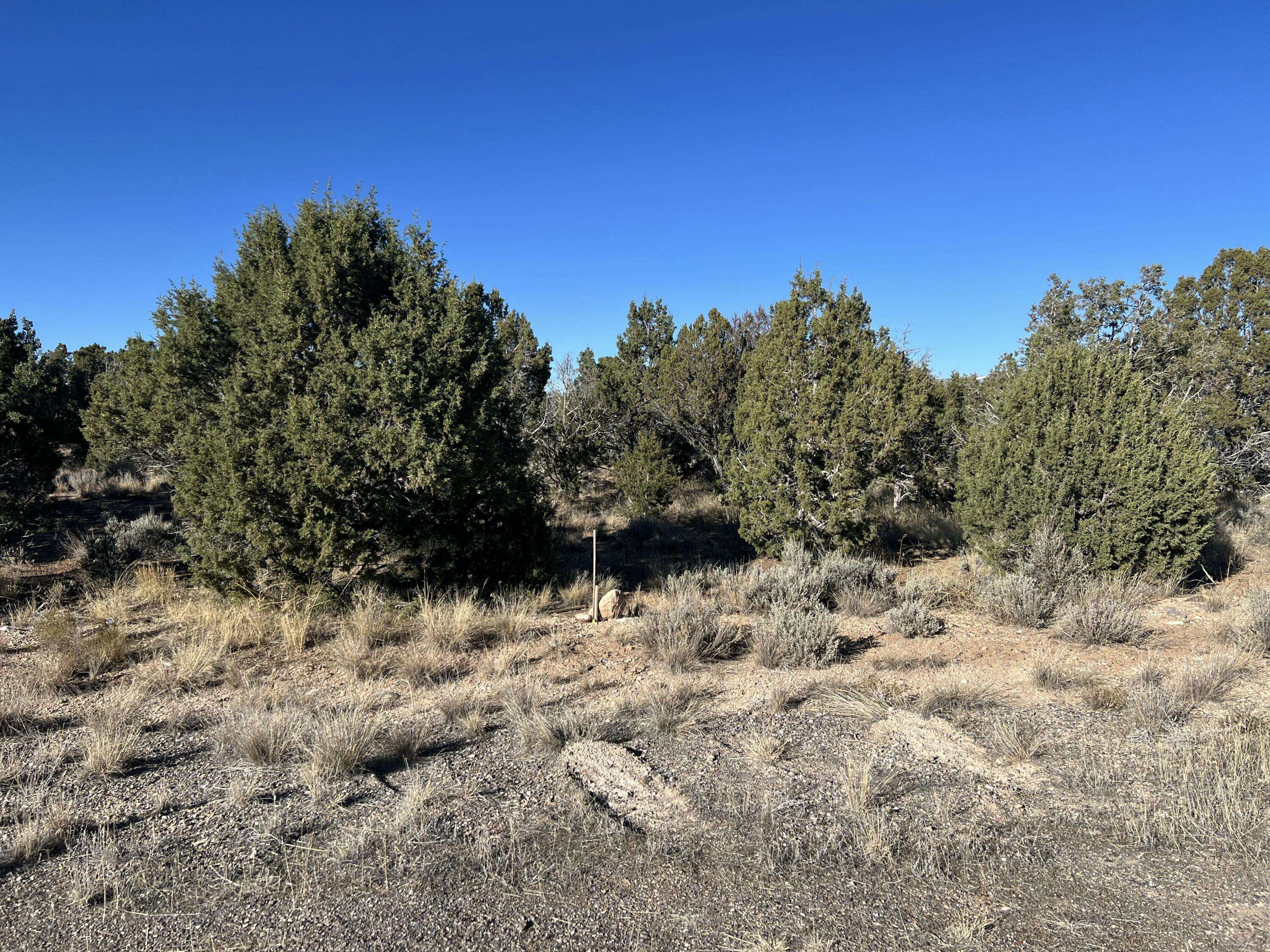 Beaver, UT 84713,5 Acres