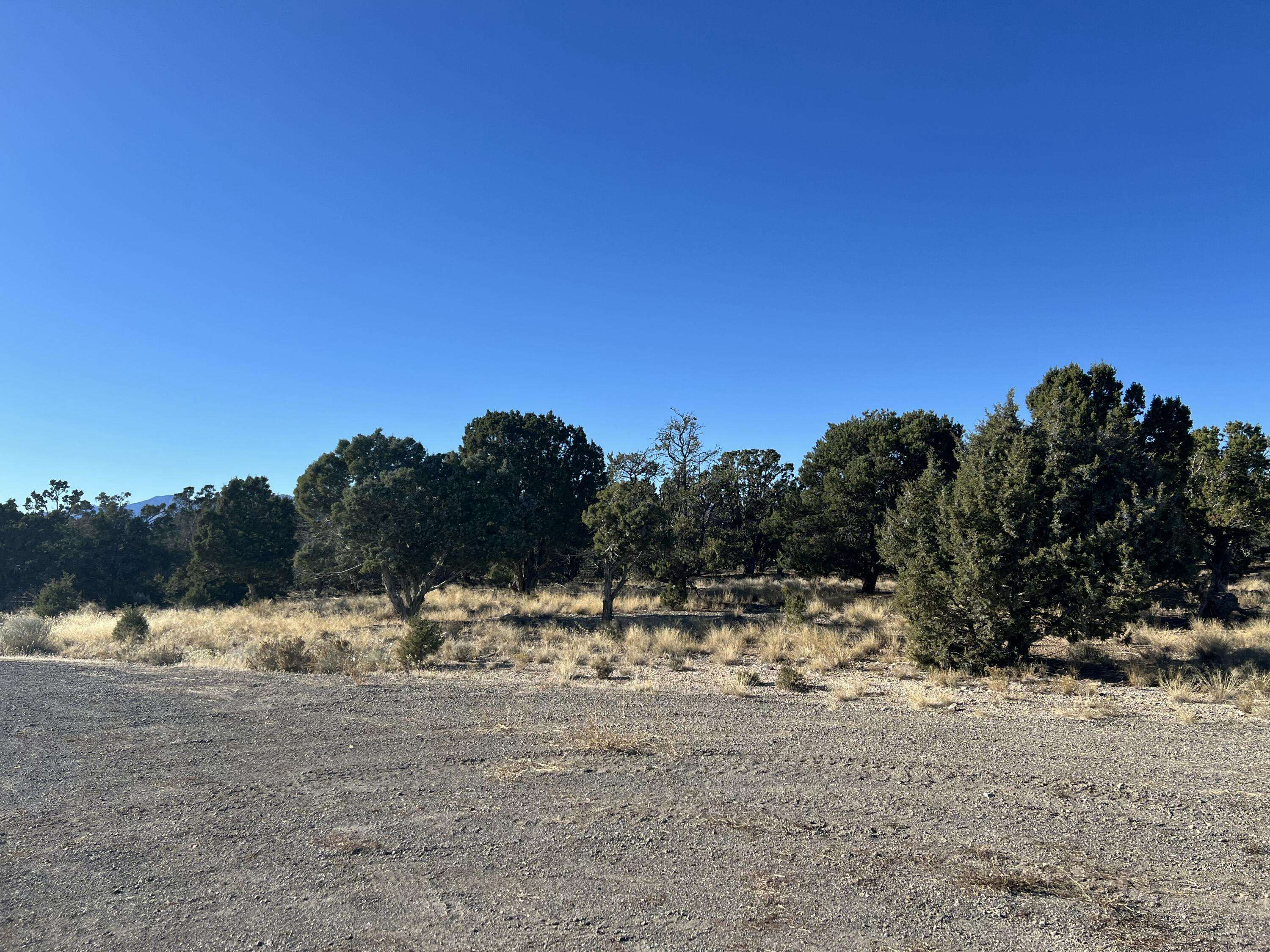 Beaver, UT 84713,5 Ac.