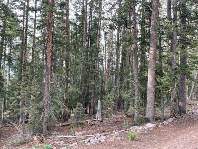 Beaver, UT 84713,Lot 10 Arrowhead Subdivision